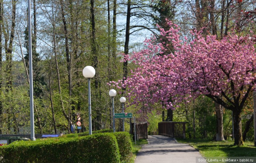 Веселая пасха — Куклы Susi Eimer (Сюзи Эймер): Gotz