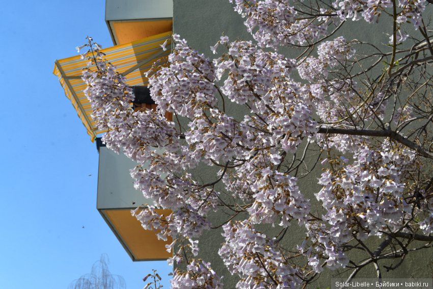 Веселая пасха — Куклы Susi Eimer (Сюзи Эймер): Gotz