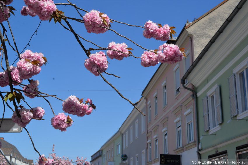 Веселая пасха — Куклы Susi Eimer (Сюзи Эймер): Gotz