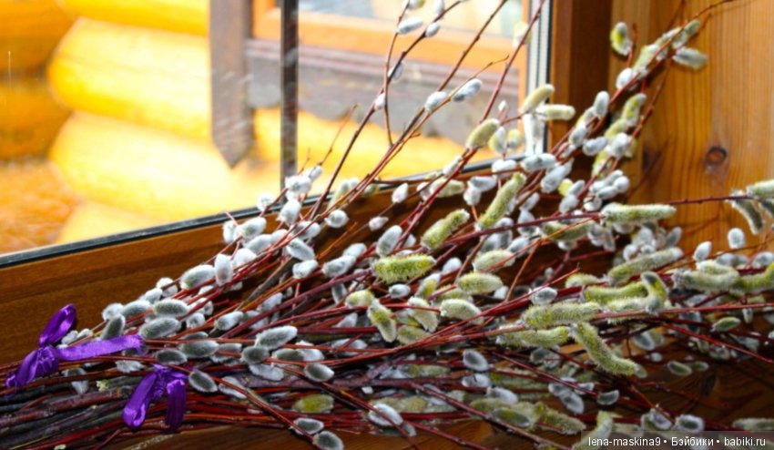 Дорогие друзья! С Вербным Воскресением (фото 3)