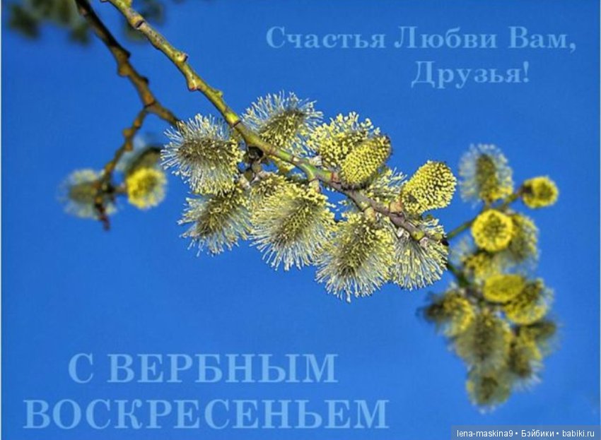 Дорогие друзья! С Вербным Воскресением