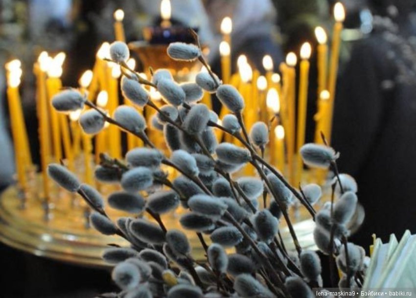 Дорогие друзья! С Вербным Воскресением