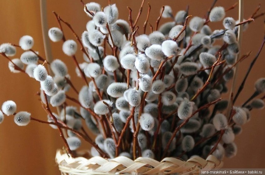 Дорогие друзья! С Вербным Воскресением (фото 7)