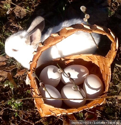 Пасха. Светлая Пасха. Христос Воскрес