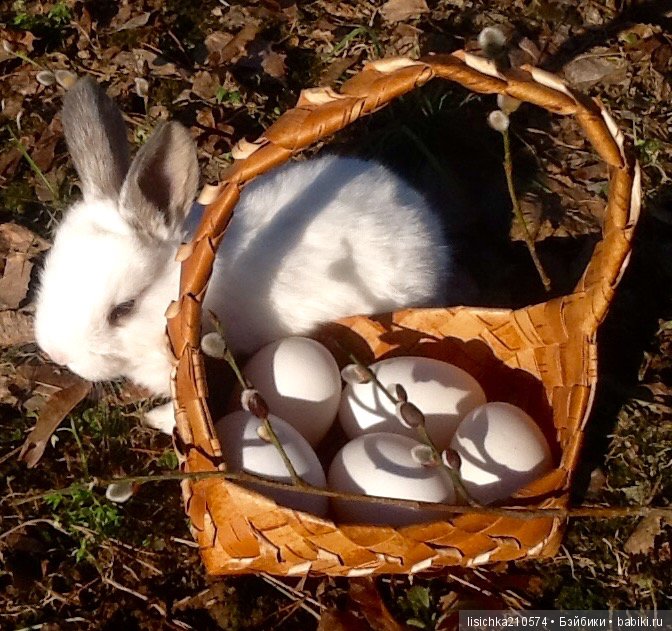 Пасха. Светлая Пасха. Христос Воскрес