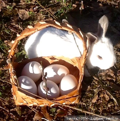 Пасха. Светлая Пасха. Христос Воскрес