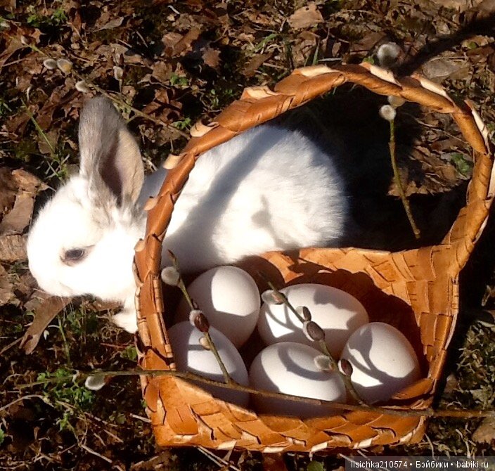 Пасха. Светлая Пасха. Христос Воскрес