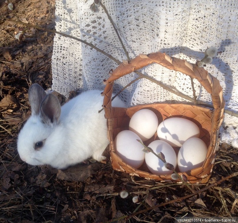Пасха. Светлая Пасха. Христос Воскрес