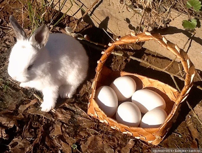 Пасха. Светлая Пасха. Христос Воскрес