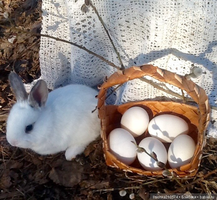 Пасха. Светлая Пасха. Христос Воскрес