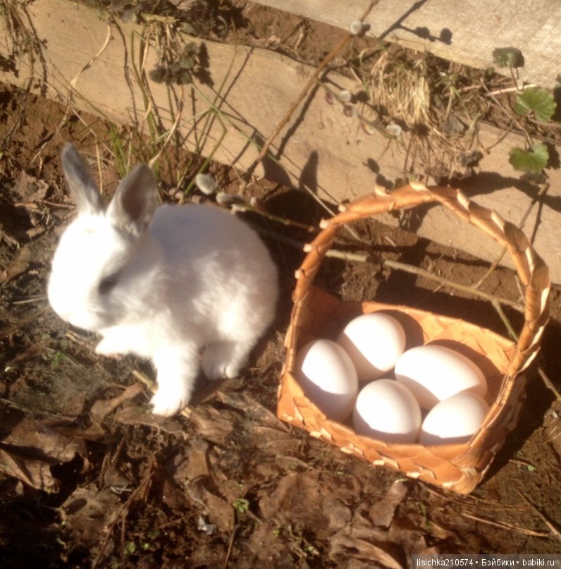 Пасха. Светлая Пасха. Христос Воскрес