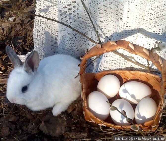 Пасха. Светлая Пасха. Христос Воскрес