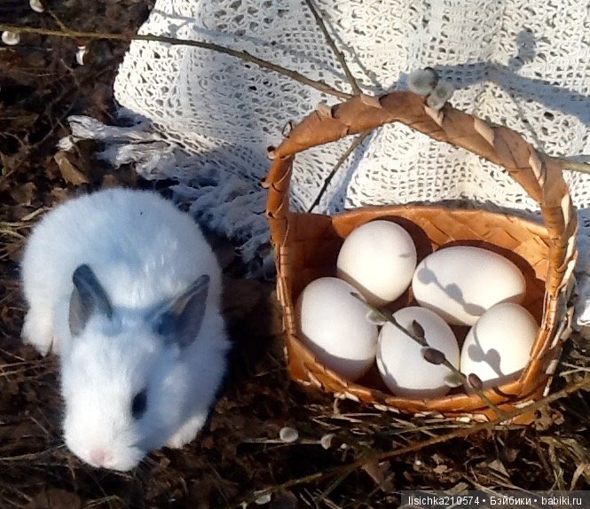 Пасха. Светлая Пасха. Христос Воскрес