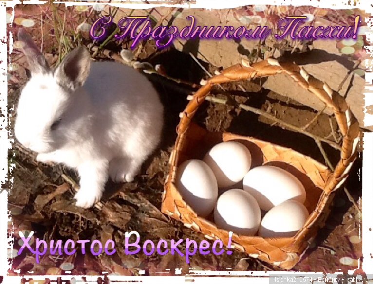 Пасха. Светлая Пасха. Христос Воскрес (фото 5)