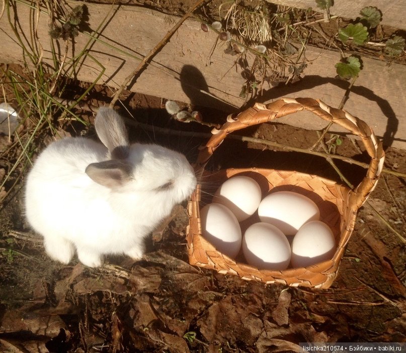 Пасха. Светлая Пасха. Христос Воскрес