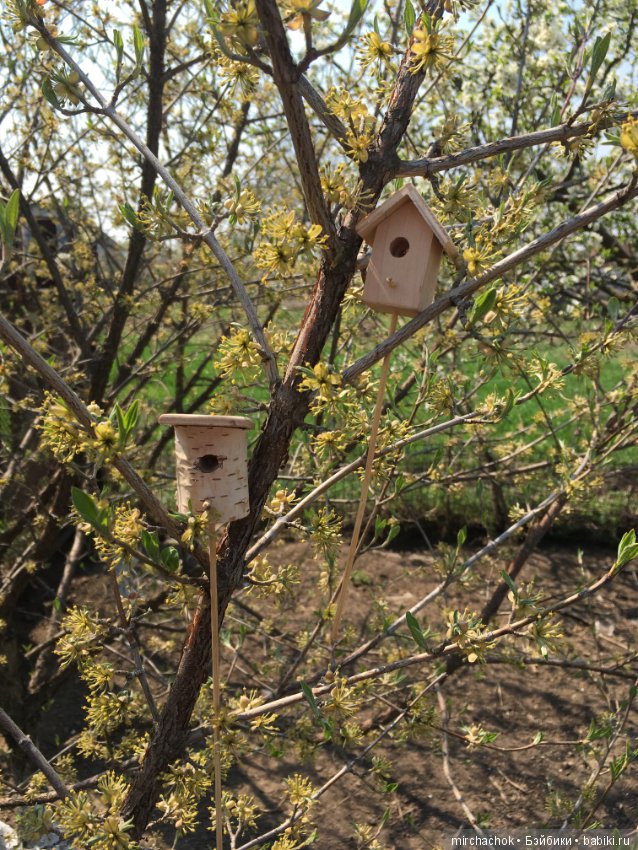 Весенние цветы и... скворечники! Или один день из жизни сорванцов Goebel