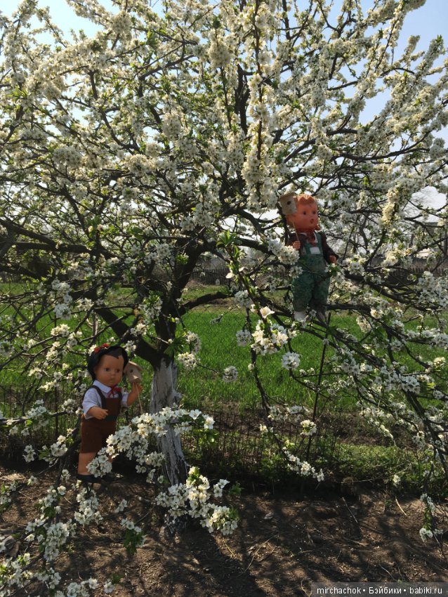 Весенние цветы и... скворечники! Или один день из жизни сорванцов Goebel