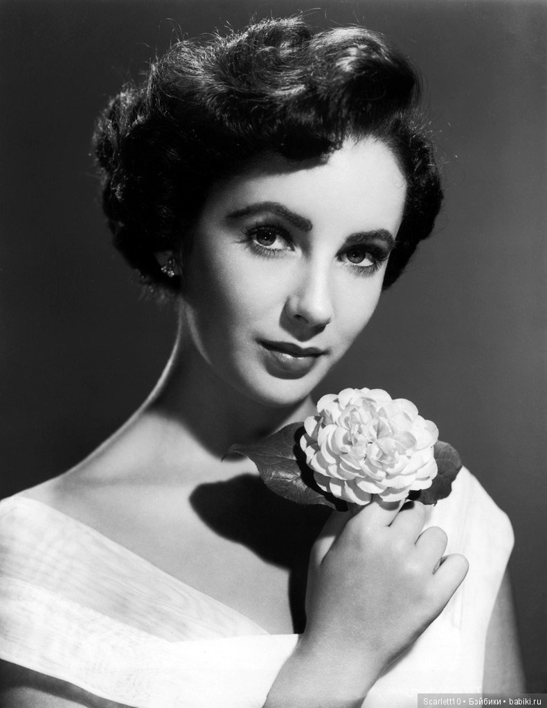 Элизабет Тейлор - королева Голливуда (фото 6)