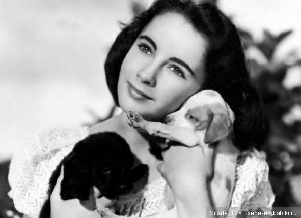 Элизабет Тейлор - королева Голливуда