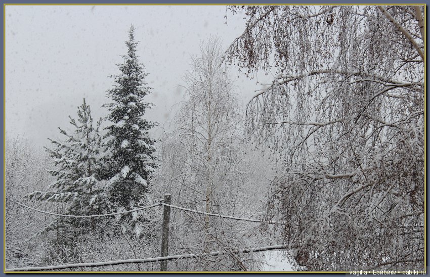 Зимы пасхальный поцелуй — Болталка и разговоры обо всем: жизнь (фото 3)