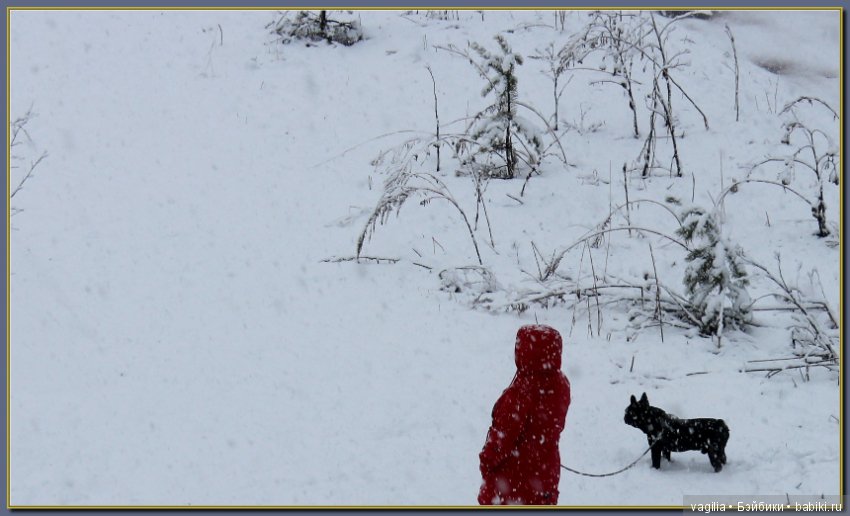 Зимы пасхальный поцелуй — Болталка и разговоры обо всем: жизнь (фото 6)