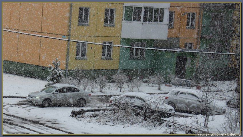 Зимы пасхальный поцелуй — Болталка и разговоры обо всем: жизнь (фото 7)