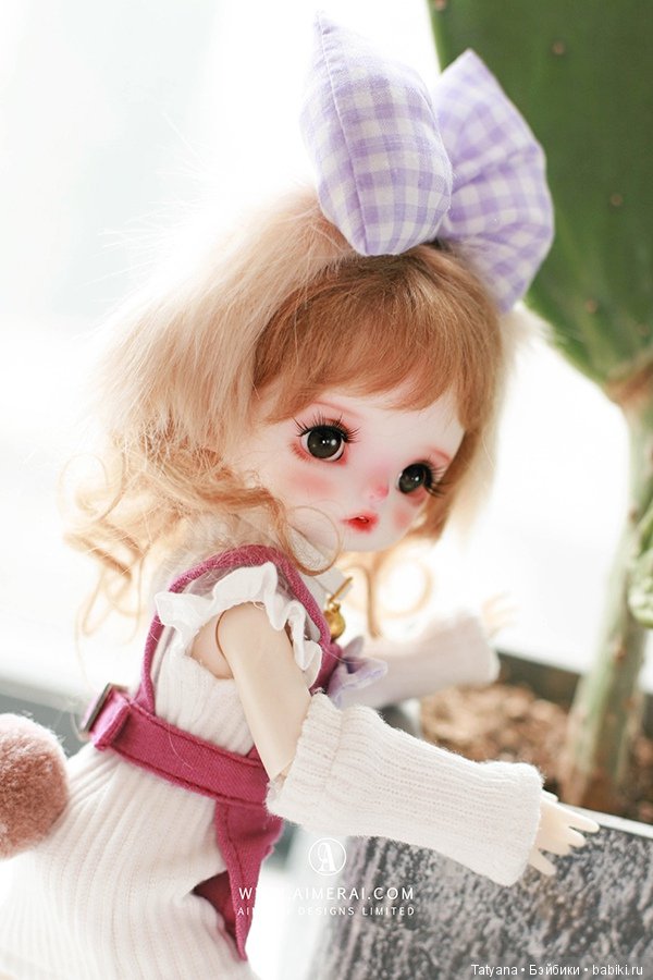 Aimerai - My Little Poodle (фото 4)