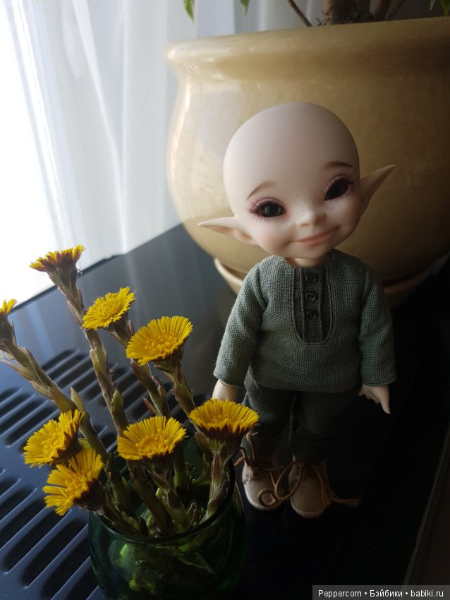 Наш помощник Лучик приехал (фото 3)