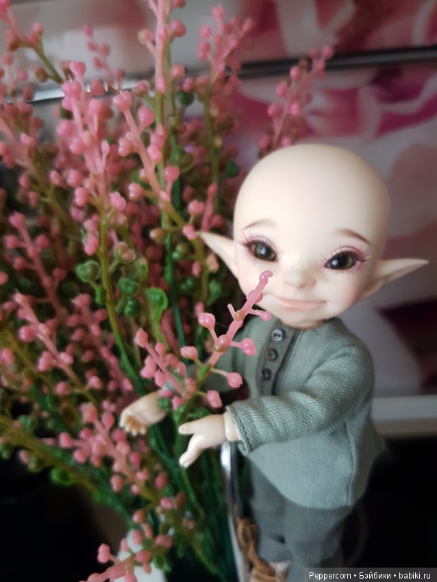 Наш помощник Лучик приехал (фото 6)