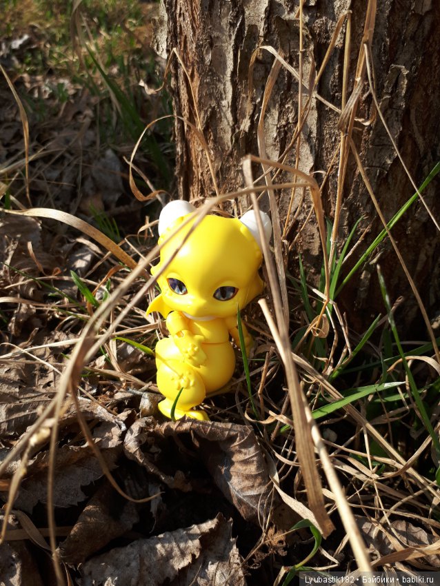 Солныш на прогулке — Болталка и разговоры обо всем: жизнь (фото 9)