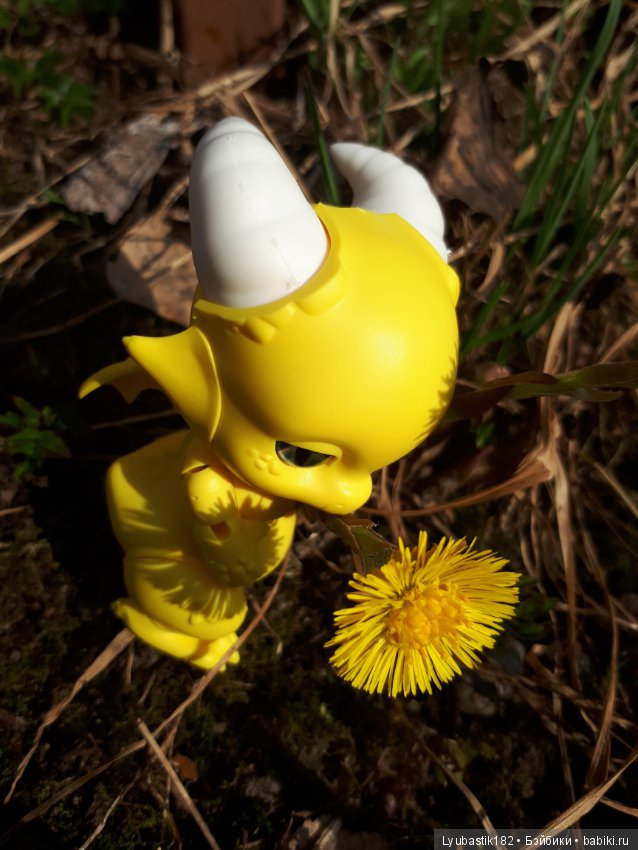 Солныш на прогулке — Болталка и разговоры обо всем: жизнь