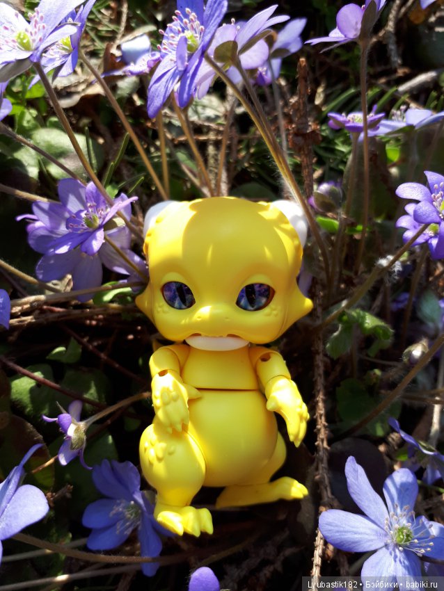 Солныш на прогулке — Болталка и разговоры обо всем: жизнь (фото 5)