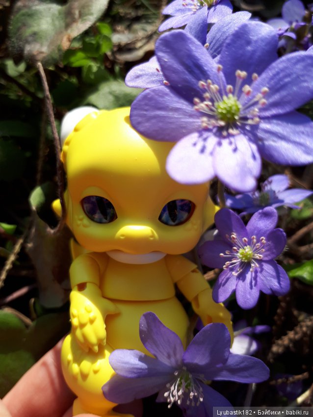 Солныш на прогулке — Болталка и разговоры обо всем: жизнь (фото 8)