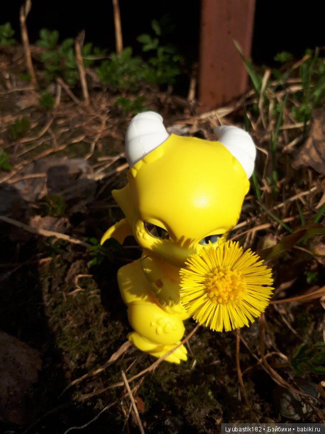 Солныш на прогулке — Болталка и разговоры обо всем: жизнь