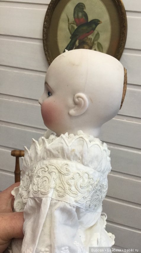 Обещанное новенькие - Early Steiner Motschmann body (фото 8)