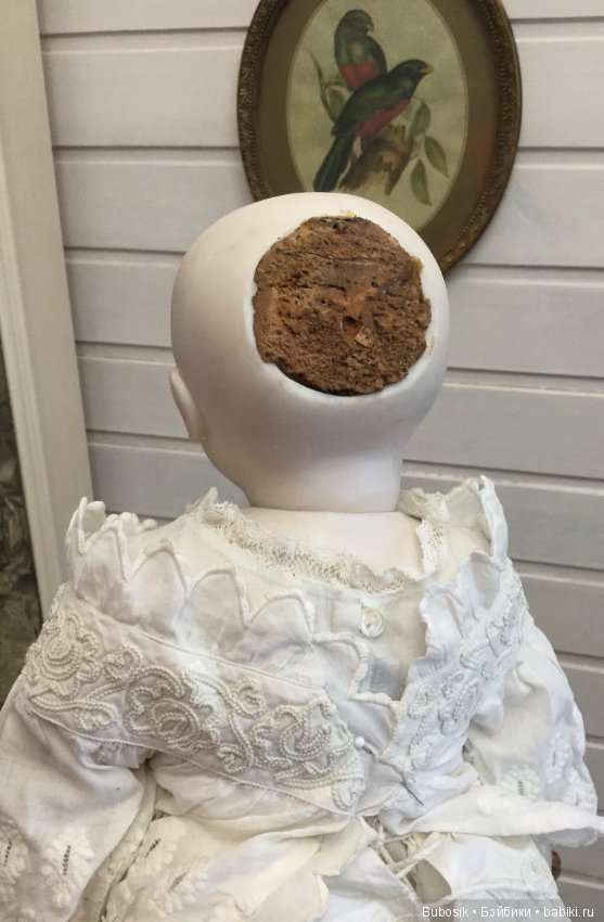 Обещанное новенькие - Early Steiner Motschmann body (фото 9)