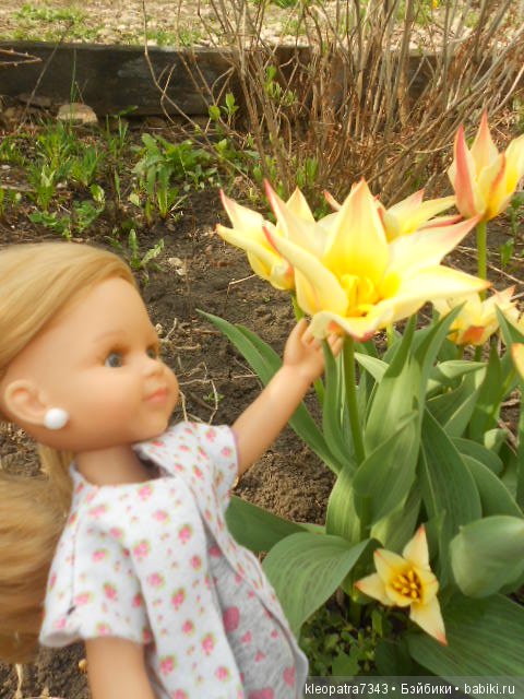 Чудесные весенние цветы. часть 2 (фото 7)