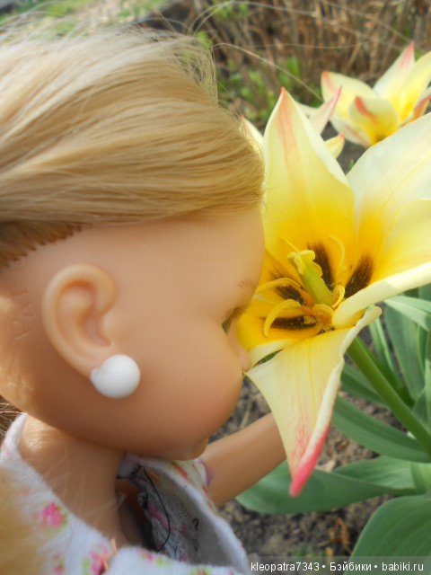 Чудесные весенние цветы. часть 2 (фото 9)