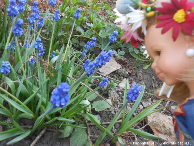 Чудесные весенние цветы. часть 1 (фото 10)