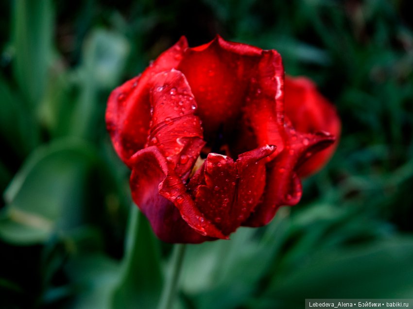 С праздником Светлой Пасхи