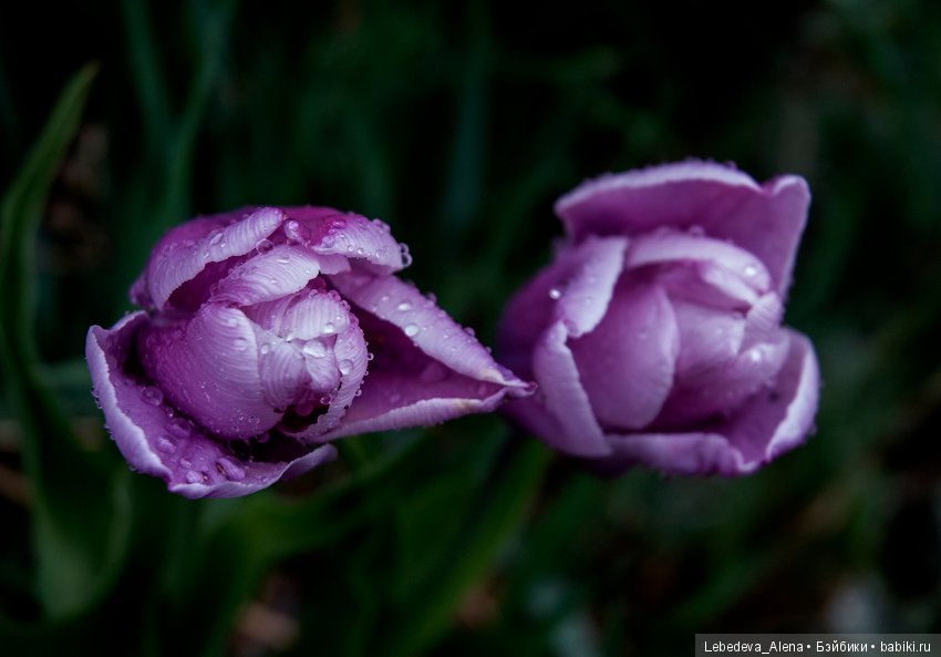 С праздником Светлой Пасхи