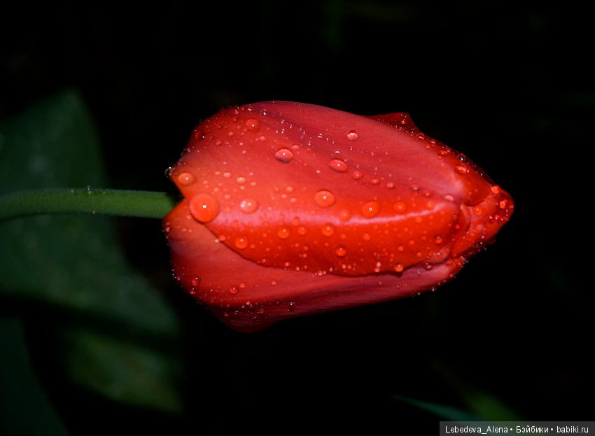 С праздником Светлой Пасхи (фото 6)