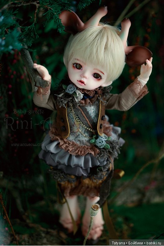 Souldoll - Rini — Куклы Souldoll (Соулдолл): BJD (БЖД) (фото 6)