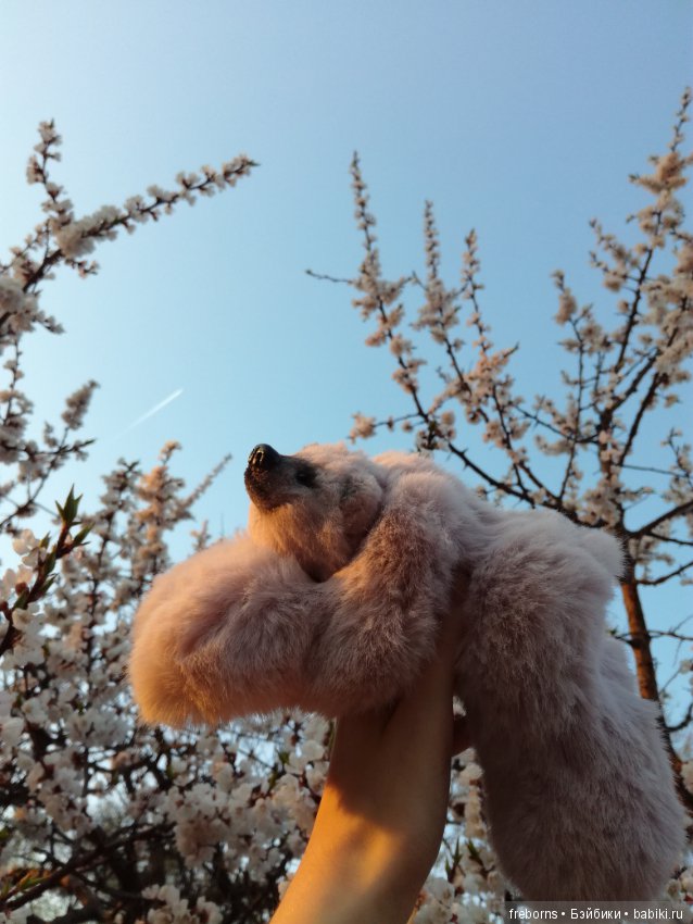 Как мы гулять ходили — Домашние фото авторских игрушек: Тедди (фото 8)