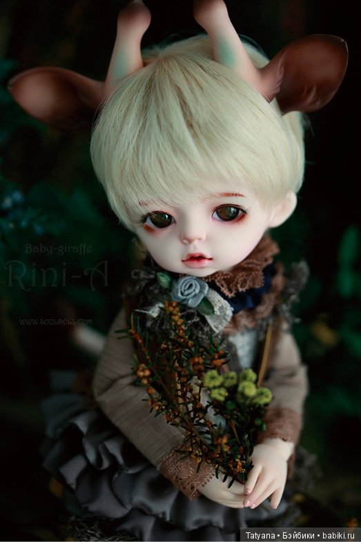Souldoll - Rini — Куклы Souldoll (Соулдолл): BJD (БЖД) (фото 10)