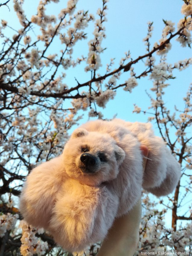 Как мы гулять ходили — Домашние фото авторских игрушек: Тедди (фото 7)