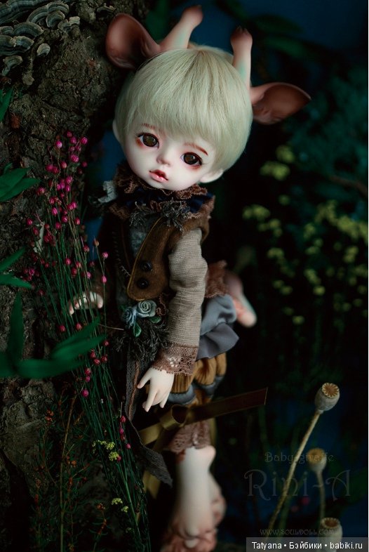 Souldoll - Rini — Куклы Souldoll (Соулдолл): BJD (БЖД) (фото 2)
