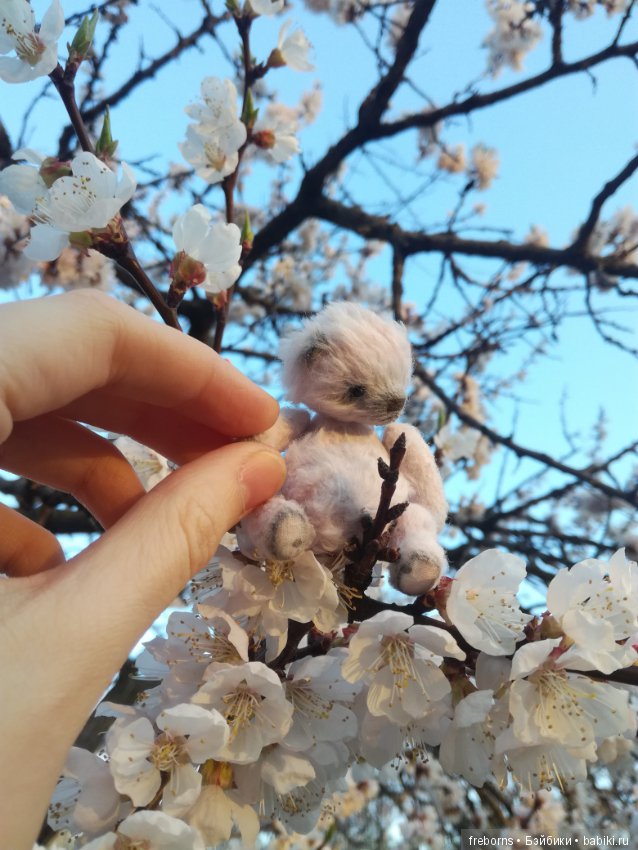 Как мы гулять ходили — Домашние фото авторских игрушек: Тедди (фото 10)