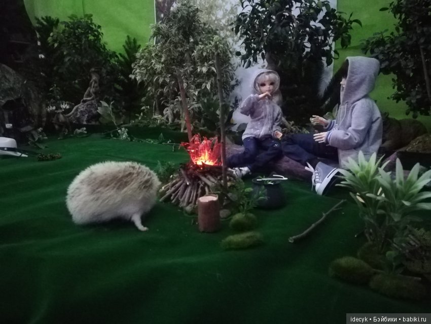В поход с ночёвкой — Фотоистории с куклами BJD (БЖД): сериалы