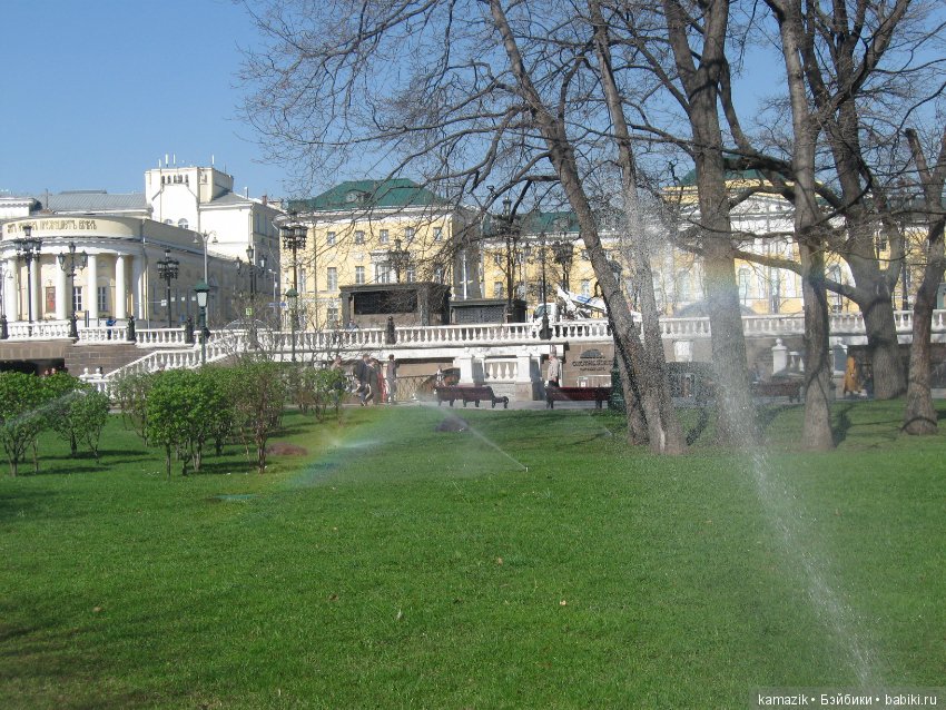 Район Камазовка. Ритка вышла погулять